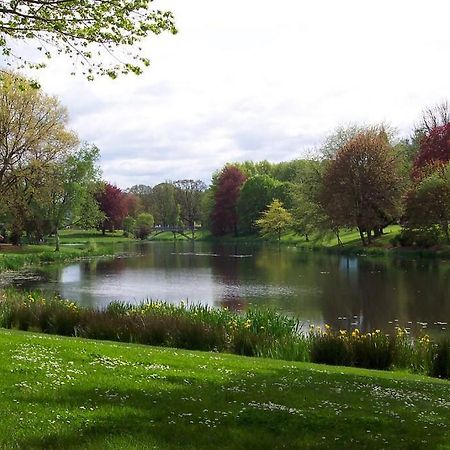 Paradise Oasis Near Lake *Full Body Massage Chair* Longview Eksteriør billede