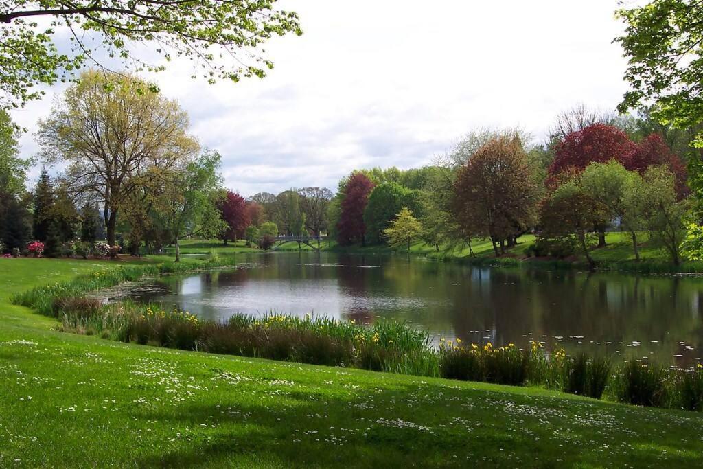 Paradise Oasis Near Lake *Full Body Massage Chair* Longview Eksteriør billede